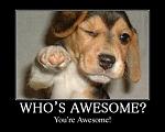 Who`s awesome ?
