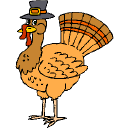 Name:  turkey.gif  Views: 48  Size:  3.6 KB