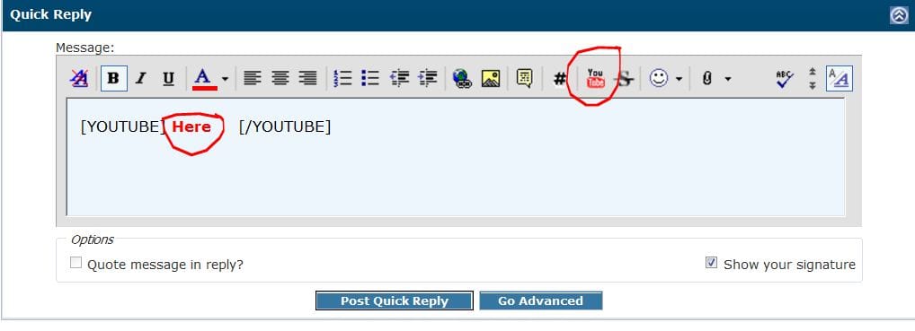 Posting a Youtube video to the forum-youtube_insert_here.jpg