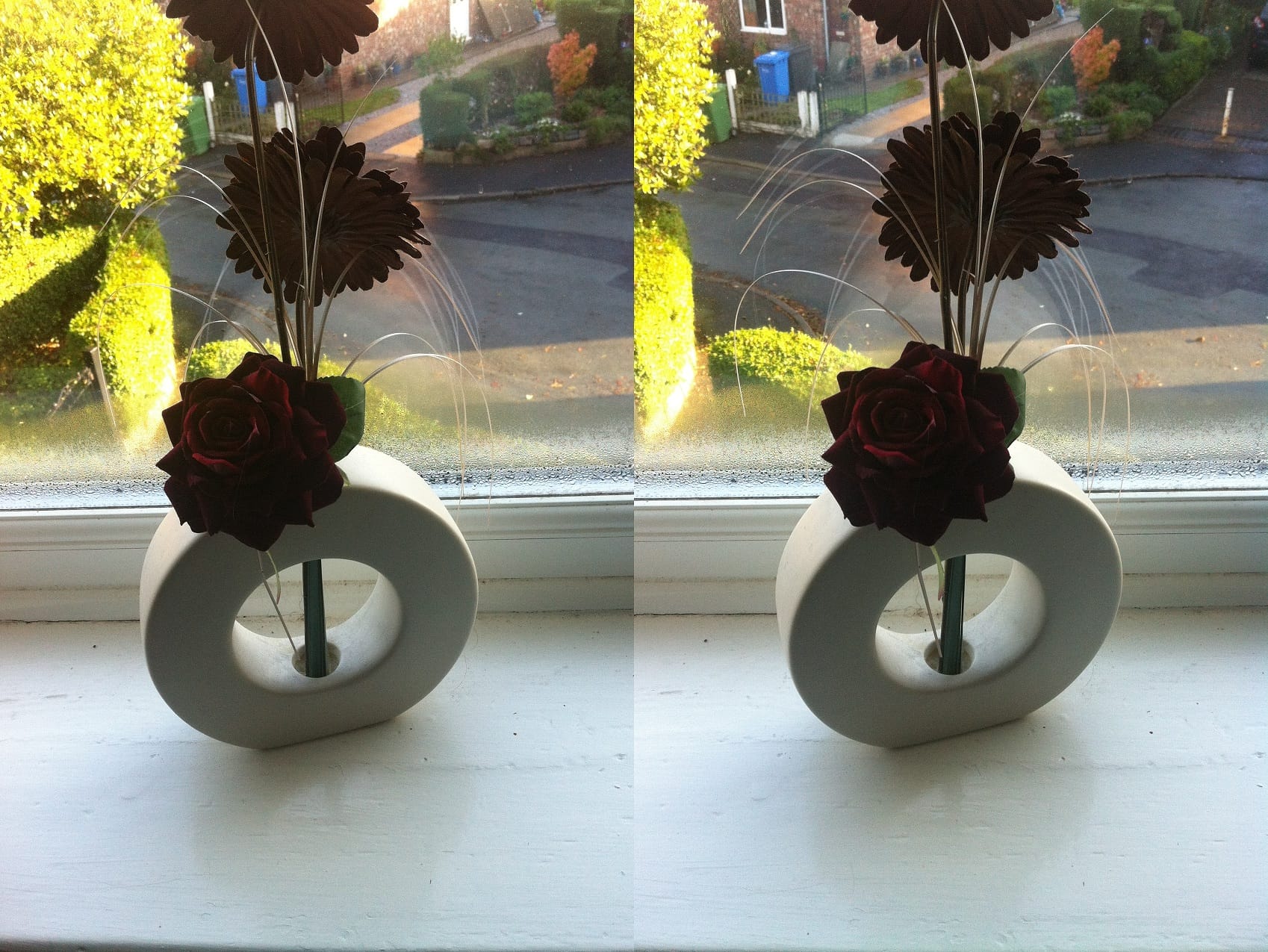 Funny and Geeky Cool Pics [2]-stereoscopic-window-flower.jpg