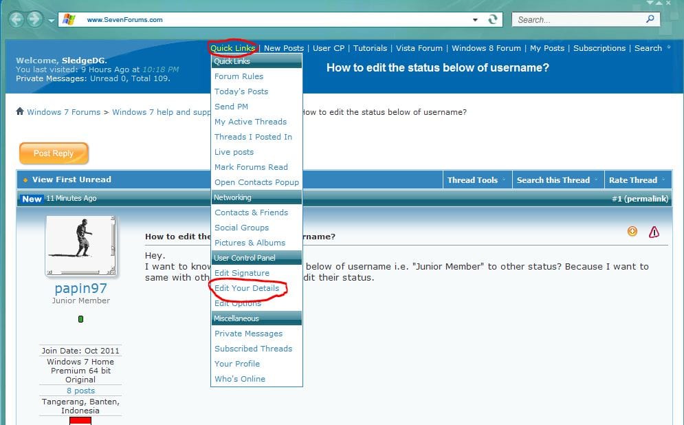 How to edit the status below of username?-capture.jpg