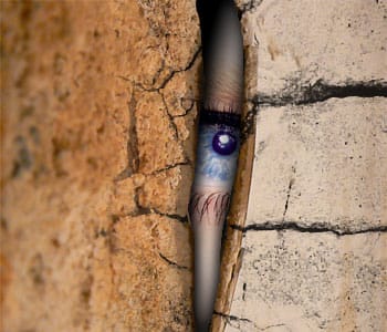 NSA & Windows 7 - What do you all think about this?-spying_wall_eye.jpg