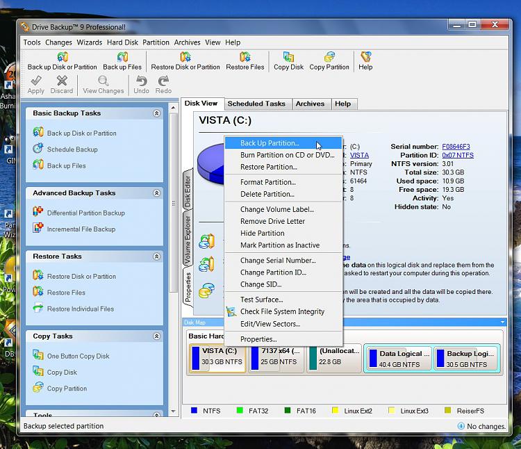 Drive Backup 9 Pro-paragondb9pro-2009-07-29_225459.jpg