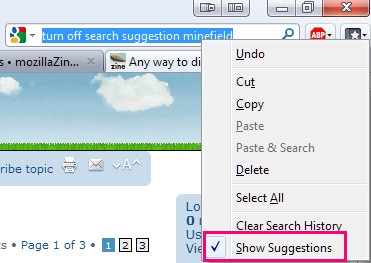 Which Browser Has NO Suggestions-screenshot00183.jpg