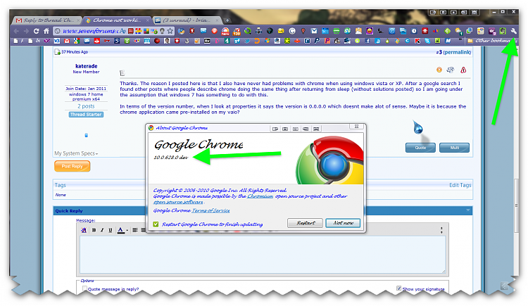 Chrome not working after resuming from sleep-brys-snap-09-january-2011-20h31m09s.png