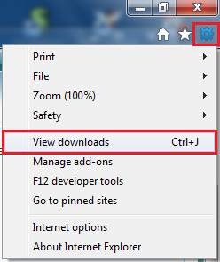 Changing the Download location in IE9-ie9-view-downloads.png