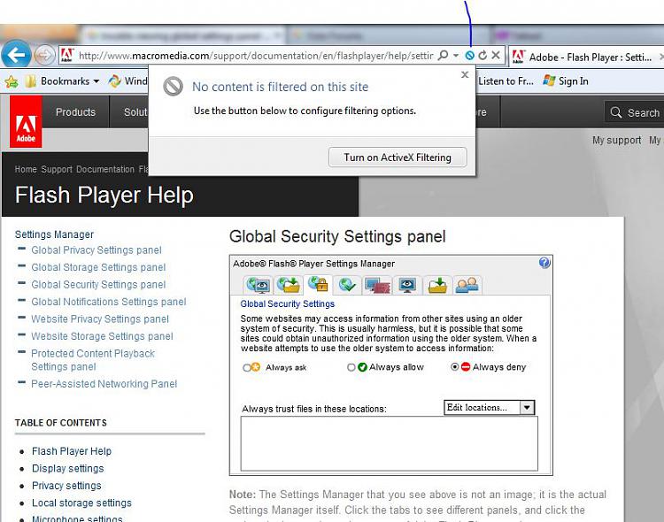 trouble viewing global settings panel for flash player in IE9-capture2.jpg