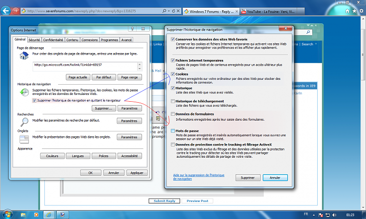 Passwords in IE9-ie9.png