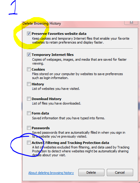 Internet Explorer deleting bookmarks/history its self?-browsing-history.png