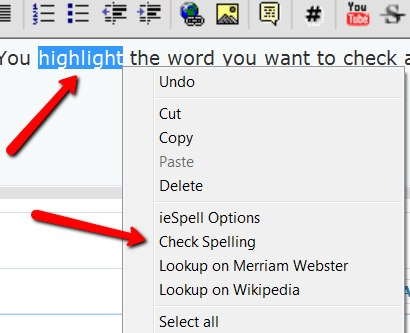 Spell Checker for IE9-2011-04-17_1145.png