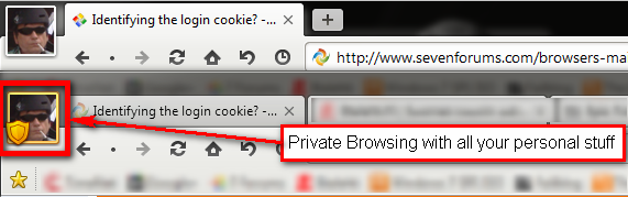 Identifying the login cookie?-maxthone-private.png