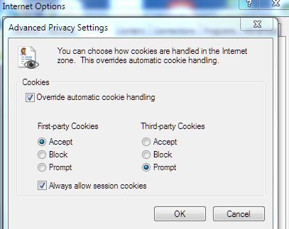 Unable to load site properly (cookies)-capture-1.jpg