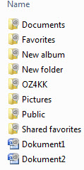 Skydrive has not folders ?-skydrive_folders.jpg