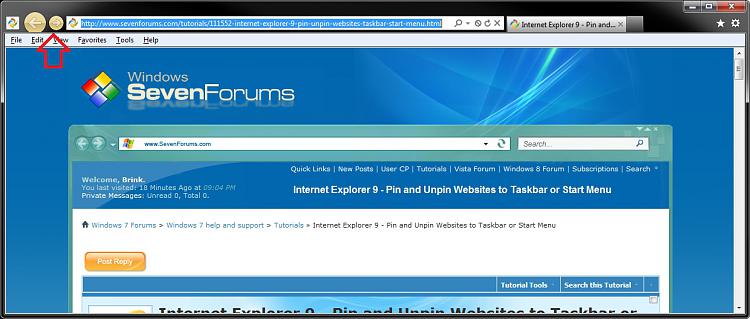 How to set ANY new tab to open my home page in IE9-pinned-site.jpg
