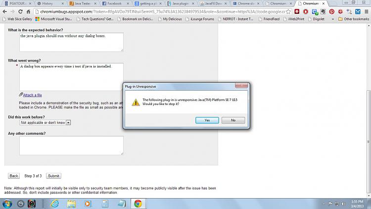 getting a unresponsive plugin in google chrome!-java.jpg