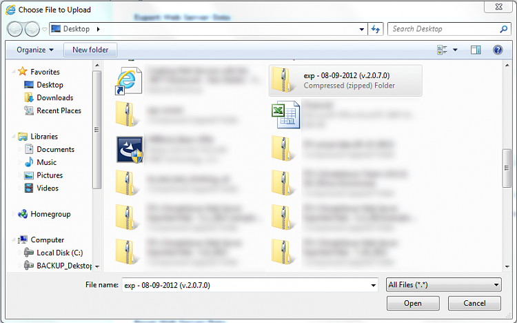 File can be seen only through the upload window in IE-2.png