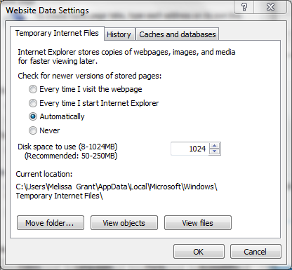 Internet Explorer 10 - Settings and history-temp-internet-set.png