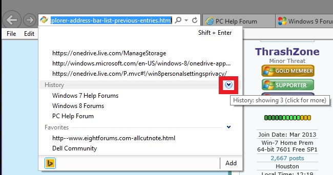 Internet Explorer - Address Bar - List of previous entries-ie11_history.jpg