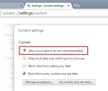 The most SECURE browser?-local-data-settings.jpg