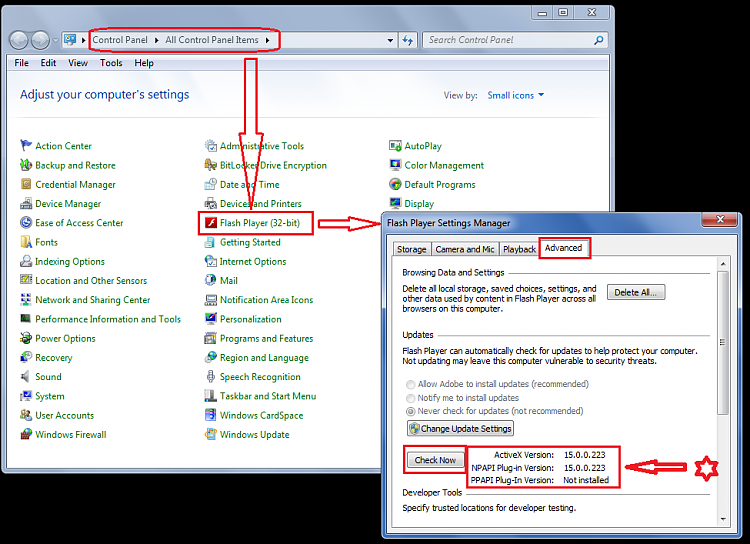 How to check for the latest Adobe flash PPAPI version-flashsp01.png
