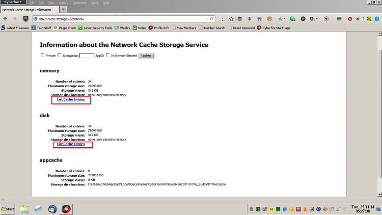 Firefox 33 - Startup Issue-cyberfox-cache.jpg