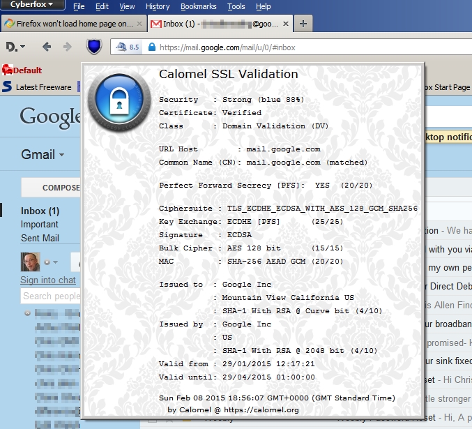 Firefox won't load home page on startup when it's GMail-gmail-ssl-2.jpg