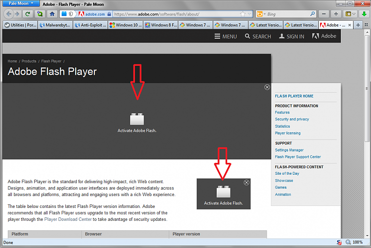 Latest Version of Adobe Flash Player-flashplayer_01.png