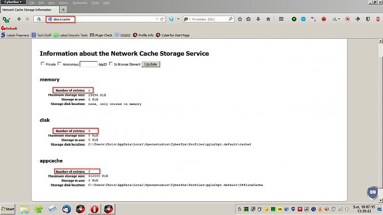 Can't connect to certain websites-ff-cache-2.jpg