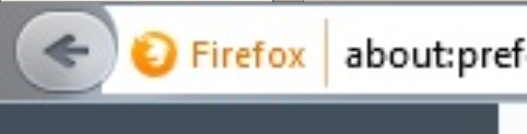 Firefox 40.0.2 Obscuring Addresses-ff2.png