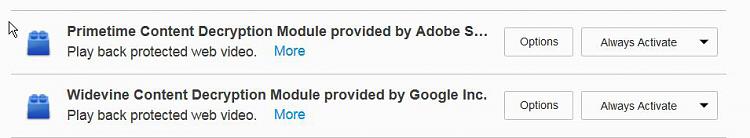 Is Firefox Replacing Content Decryption Module with Widevine?-add-ons-manager.jpg