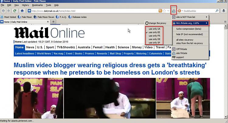 1 website (only) seems to have gone rogue and won't load properly-daily-mail-online-pale-moon.jpg