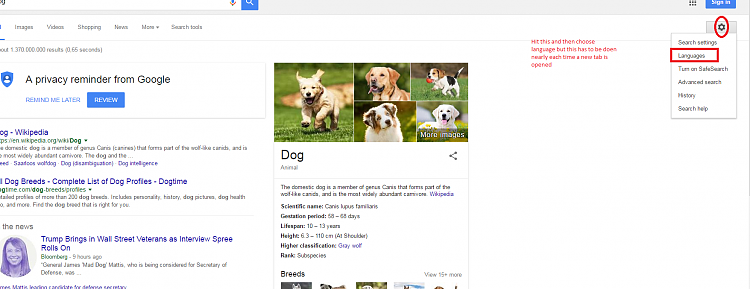 Weird browsing-dog.png