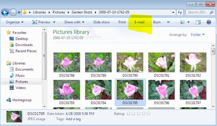 Emailing a photo from the library-screen-shot-photo-library.jpg