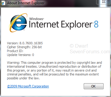 Ie 32bit?-capture.png