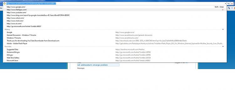 address bar's strange problem-ie8.jpg