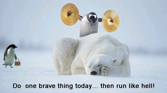 Funny and Geeky Cool Pics-brave_then_run.jpg
