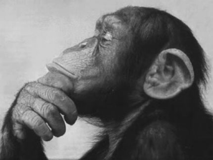 Reputation and Badges [4]-thinkingmonkey.jpg