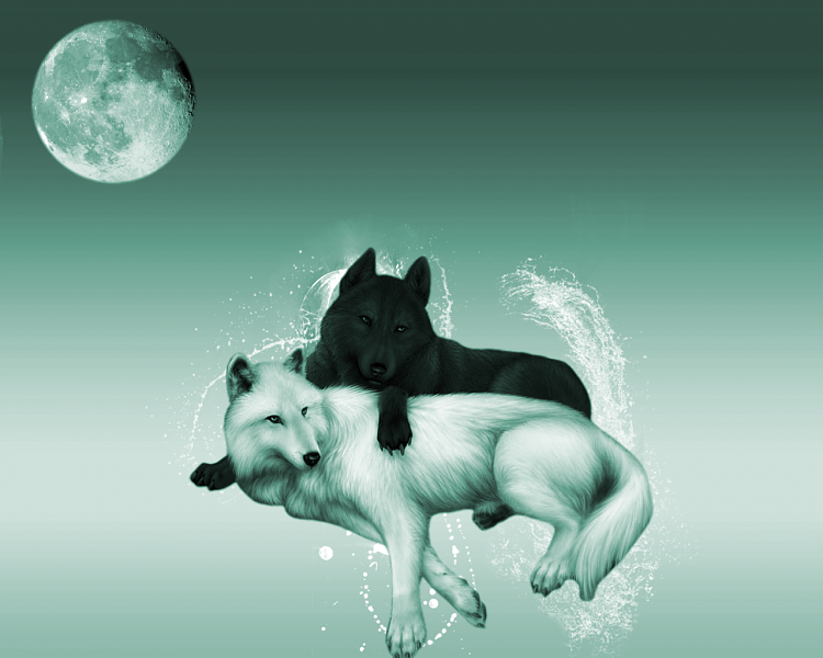 Happy Birthday. The Howling Wolves-wolwes-wall-copy.png