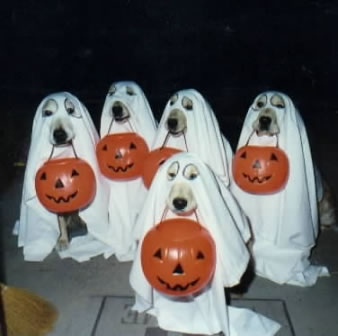 Halloween Thread-dos-halloween.jpg