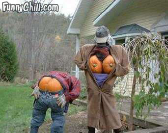 Halloween Thread-funny-halloween-pumpkins.jpg