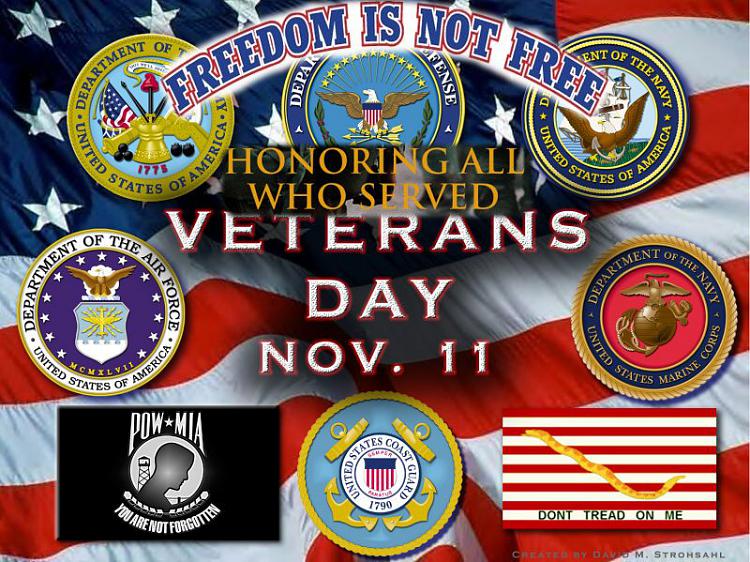 ~~ Veterans Day ~~-vtday1111.jpg