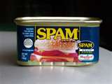 What is your least favorite food?-spam.jpg