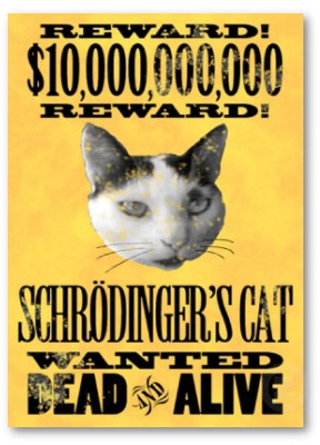 Funny and Geeky Cool Pics-schrodingers_cat_poster1.jpg