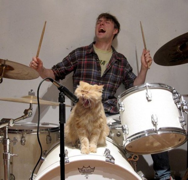 Funny and Geeky Cool Pics-cool_cat_singer-600x573.jpg