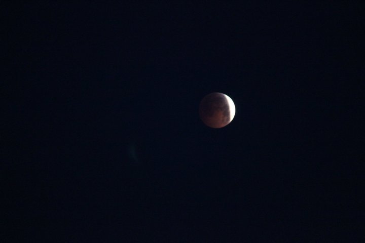 Total Lunar Eclipse of December 21 2010-68191_10150143356269202_821214201_7950705_7514583_n.jpg