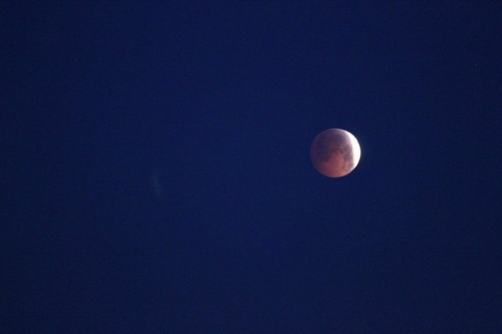 Total Lunar Eclipse of December 21 2010-165298_10150143356729202_821214201_7950729_4348806_n.jpg