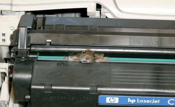 Dual Monitors-printer_mouse.jpg