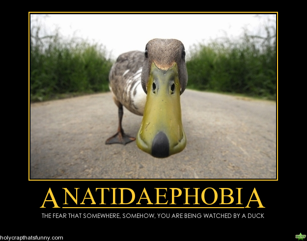 Funny and Geeky Cool Pics-anatidaephobia.png