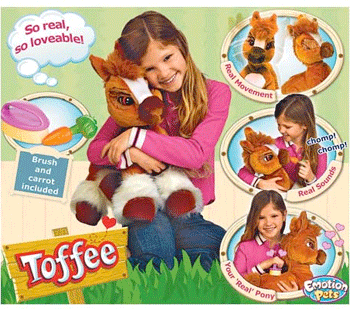 Today [6]-toffee-pony-image.gif