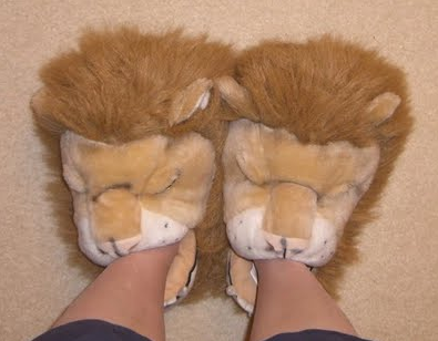 Show us your slippers-capture.png